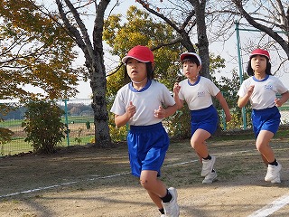 P1010685 P1010685