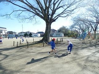 P1010388 P1010388