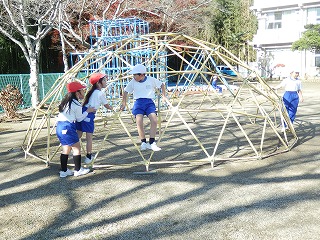 P1010398 P1010398