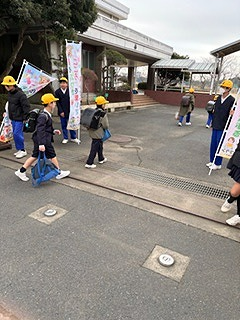 image5 image5