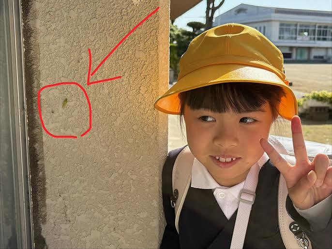 1 1