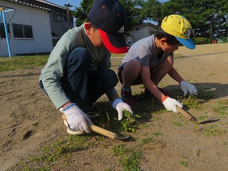 IMG_2841 IMG_2841