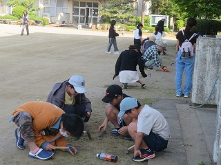 IMG_2844 IMG_2844