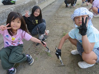 IMG_2856 IMG_2856