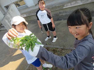 IMG_2859 IMG_2859