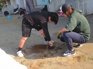 IMG_2863 IMG_2863