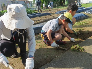 IMG_2864 IMG_2864