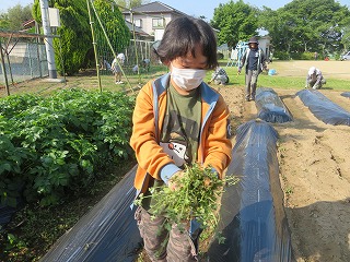 IMG_2873 IMG_2873