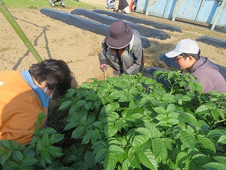 IMG_2874 IMG_2874