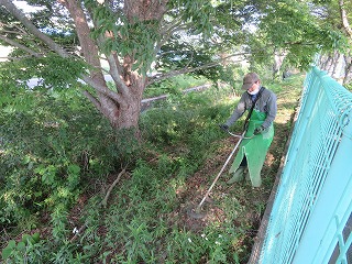 IMG_2847 IMG_2847