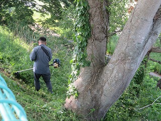 IMG_2852 IMG_2852