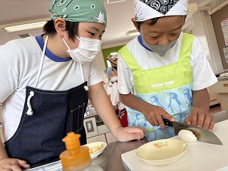 IMG_6154 IMG_6154