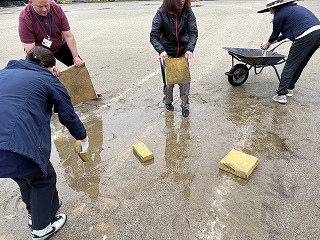 IMG_6219 IMG_6219