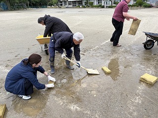 IMG_6223 IMG_6223