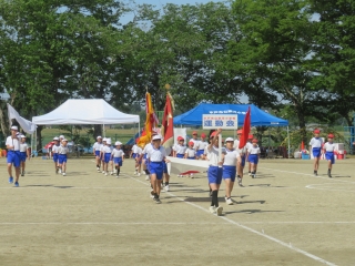 IMG_2896 IMG_2896