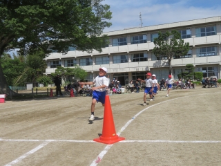 IMG_2924 IMG_2924