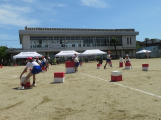 IMG_2950 IMG_2950