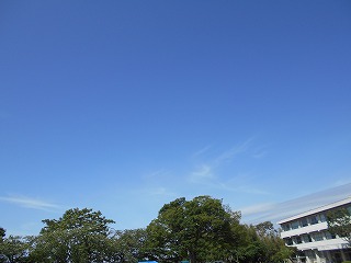 DSCN6745 DSCN6745