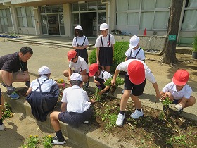 IMG_3071 IMG_3071