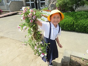 IMG_3060 IMG_3060