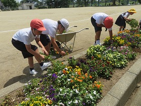 IMG_3061 IMG_3061