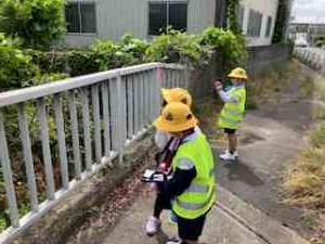 image0 (1)