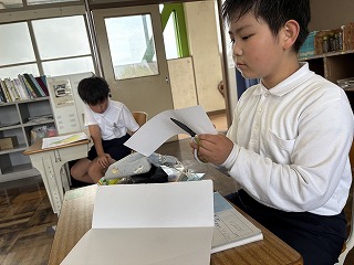 IMG_6641