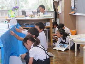 IMG_3260 IMG_3260