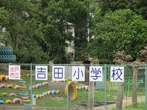 IMG_3062 IMG_3062