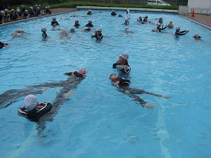 IMG_2952 IMG_2952