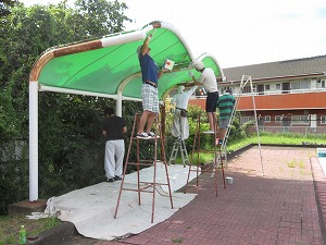 IMG_3373 IMG_3373