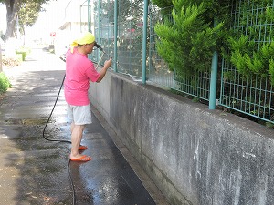 IMG_3331 IMG_3331