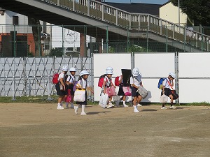 IMG_3496 IMG_3496