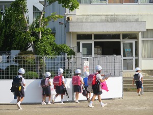 IMG_3499 IMG_3499