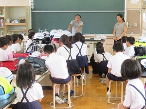 IMG_3537 IMG_3537