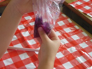 IMG_3595 IMG_3595