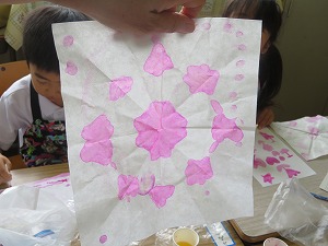 IMG_3575 IMG_3575