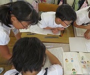 IMG_3647 IMG_3647