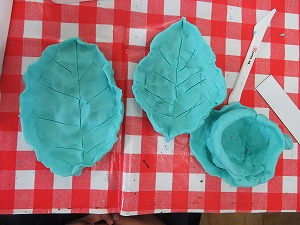 IMG_3663 IMG_3663