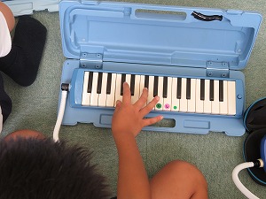 IMG_3690 IMG_3690