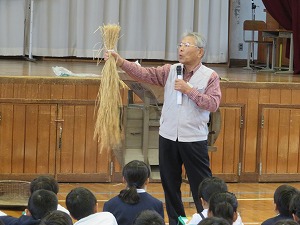 IMG_4229 IMG_4229