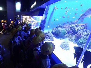 DSC05826 DSC05826