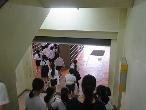IMG_4232 IMG_4232