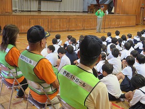 IMG_4233 IMG_4233