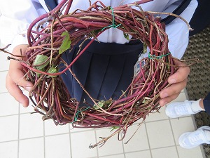 IMG_4298 IMG_4298