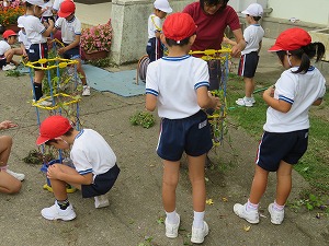 IMG_4302 IMG_4302