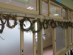 IMG_4308 IMG_4308
