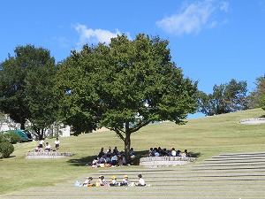 IMG_4401 IMG_4401
