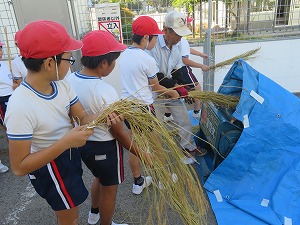 IMG_4448 IMG_4448