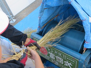 IMG_4458 IMG_4458